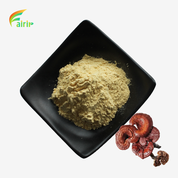 Natural Reishi Mushroom Extract Powder
